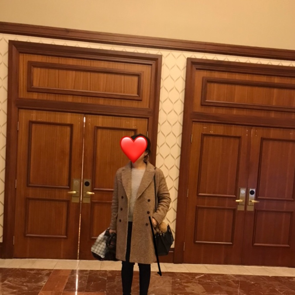 Zara Trench Coat